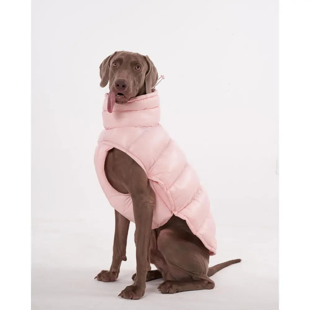 Winter Dog Coat, Lightweight Thermal Insulated, Water-Resistant, Adjustable with Leash Accessory for Small to Large Breeds, Pink