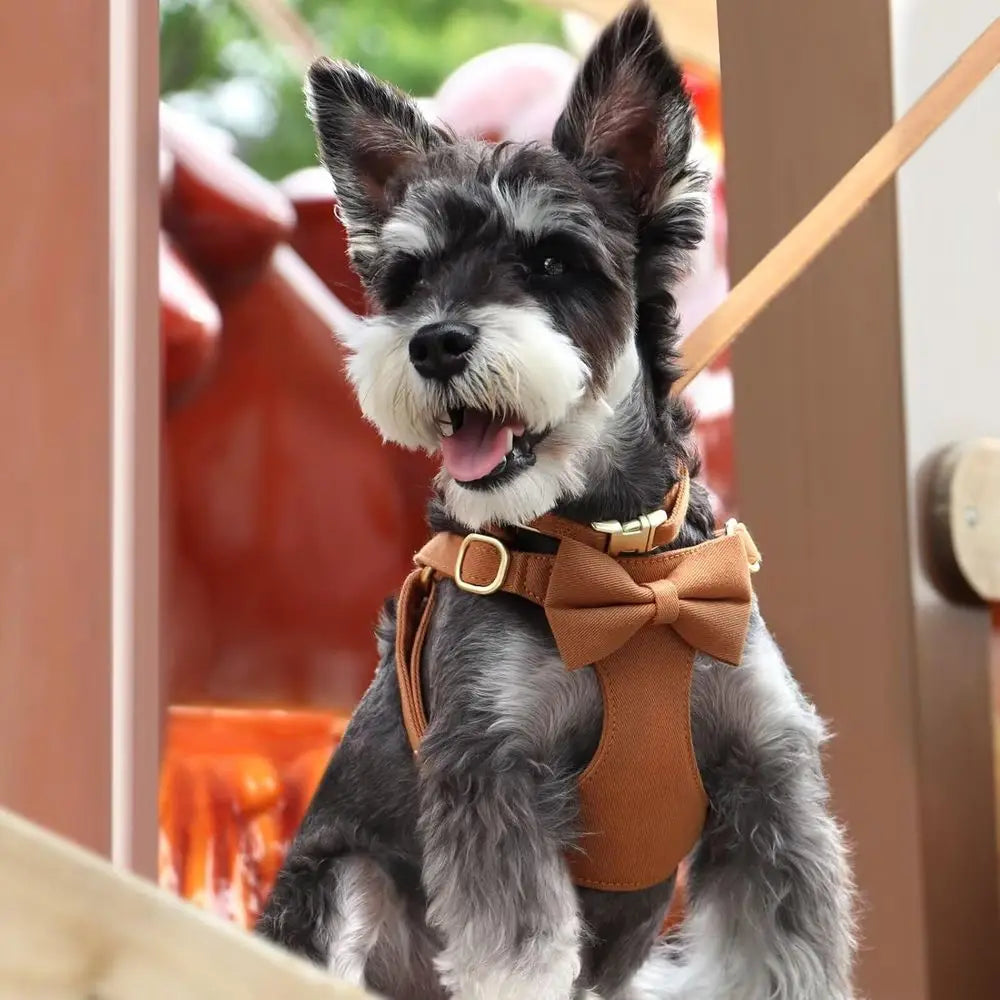 Adorable Small Dog HarnCollar Leash Set,Cute Puppy Harnwith 3 Bows or XS Dogs,Yorkie,Adjustable Step-in Vest or Walking,Parties&