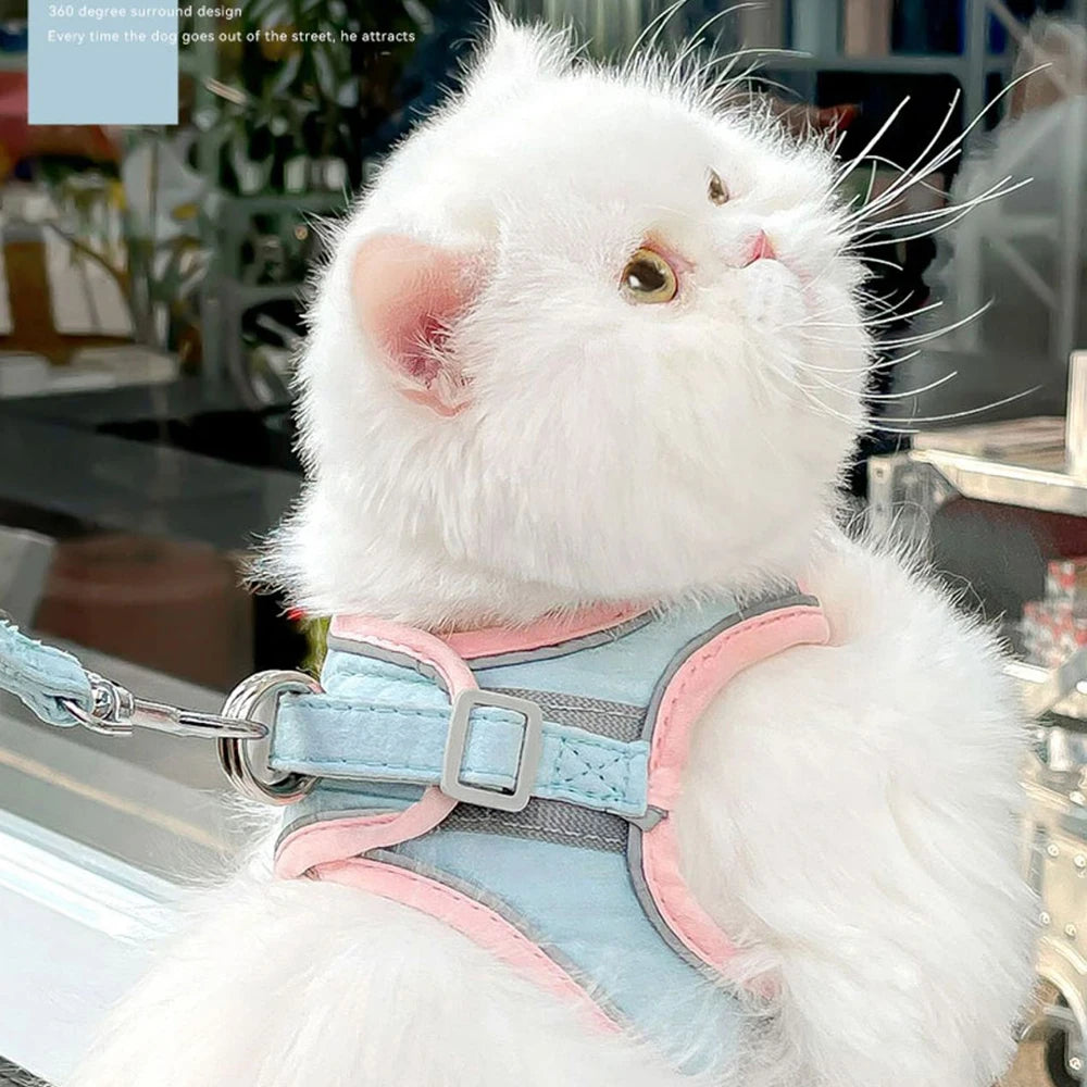 Cat Dog Noctilucent Harness with Lead Leash Adjustable Vest Polyester Mesh Breathable Harnesses Reflect Light Cat Accessories