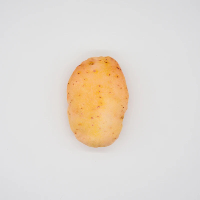 Funny Squeaky Toys For Small Medium Dogs Puppy Bite Resistant Simulated Dog Toy Vegetables Fruits Series Pet Product