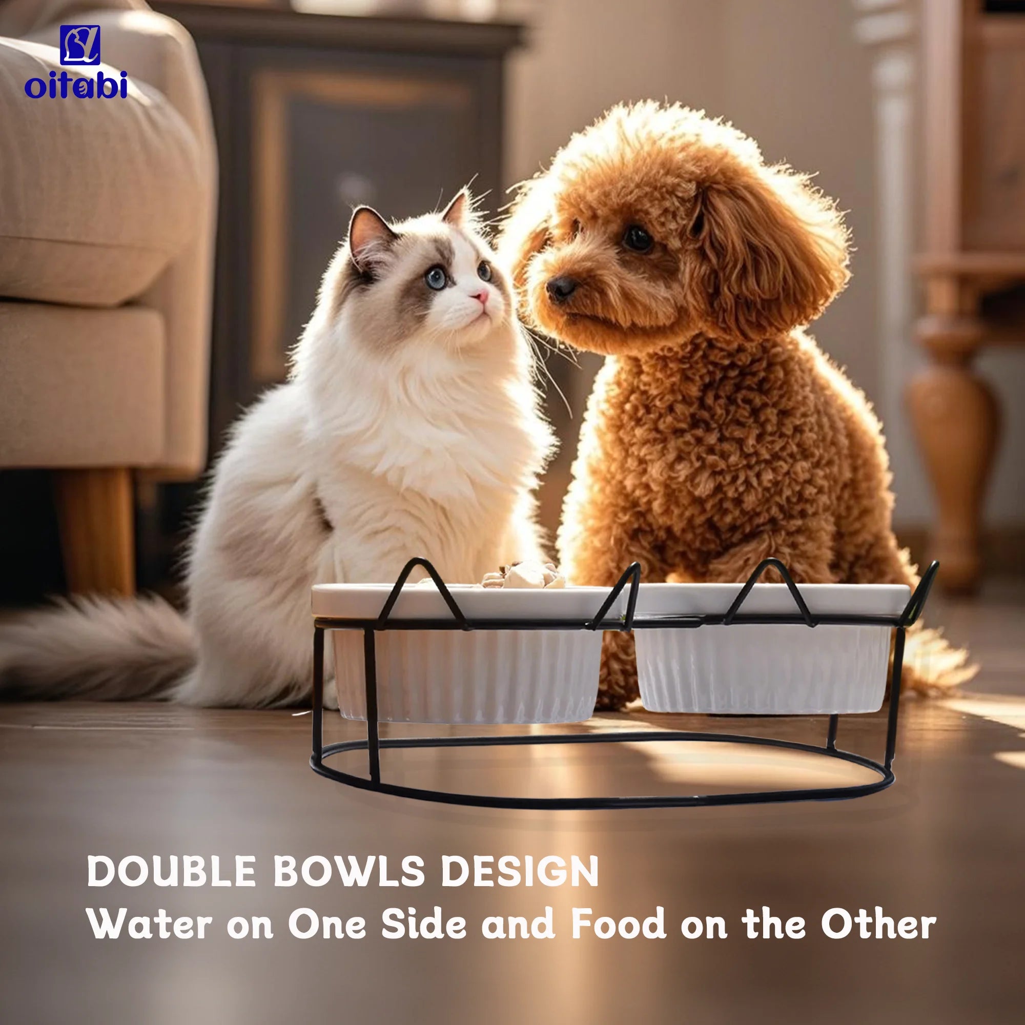 Oitabi Elevated Cat Bowls,15°Tilted Stand Anti Vomiting Raised Cat Dishes for Food and Water, 2 Ceramic Bowls for Cats and Puppy