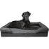 Dog’s Bed, Dog Bed XXL Grey 51.5x39, Memory Foam, Pain Relief: Arthritis, Hip & Elbow Dysplasia, Post Surgery, Lameness