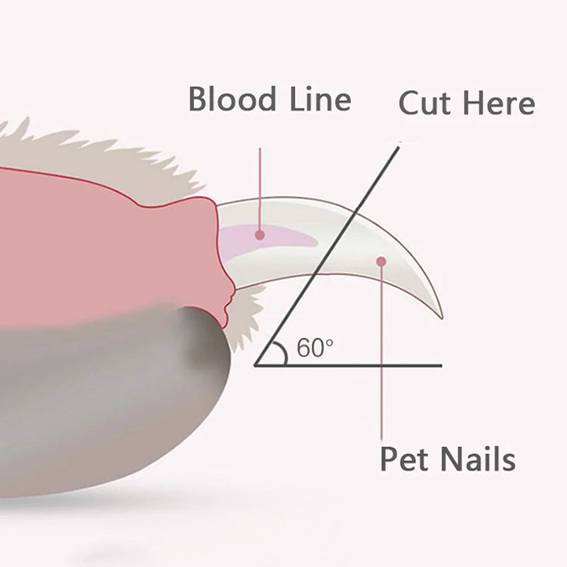 Professional LED Pet Nail Clippers Pet Paw Grooming Scissors for Dogs Cats Small Animals Safe Nail Trimmer Pet Care Supply