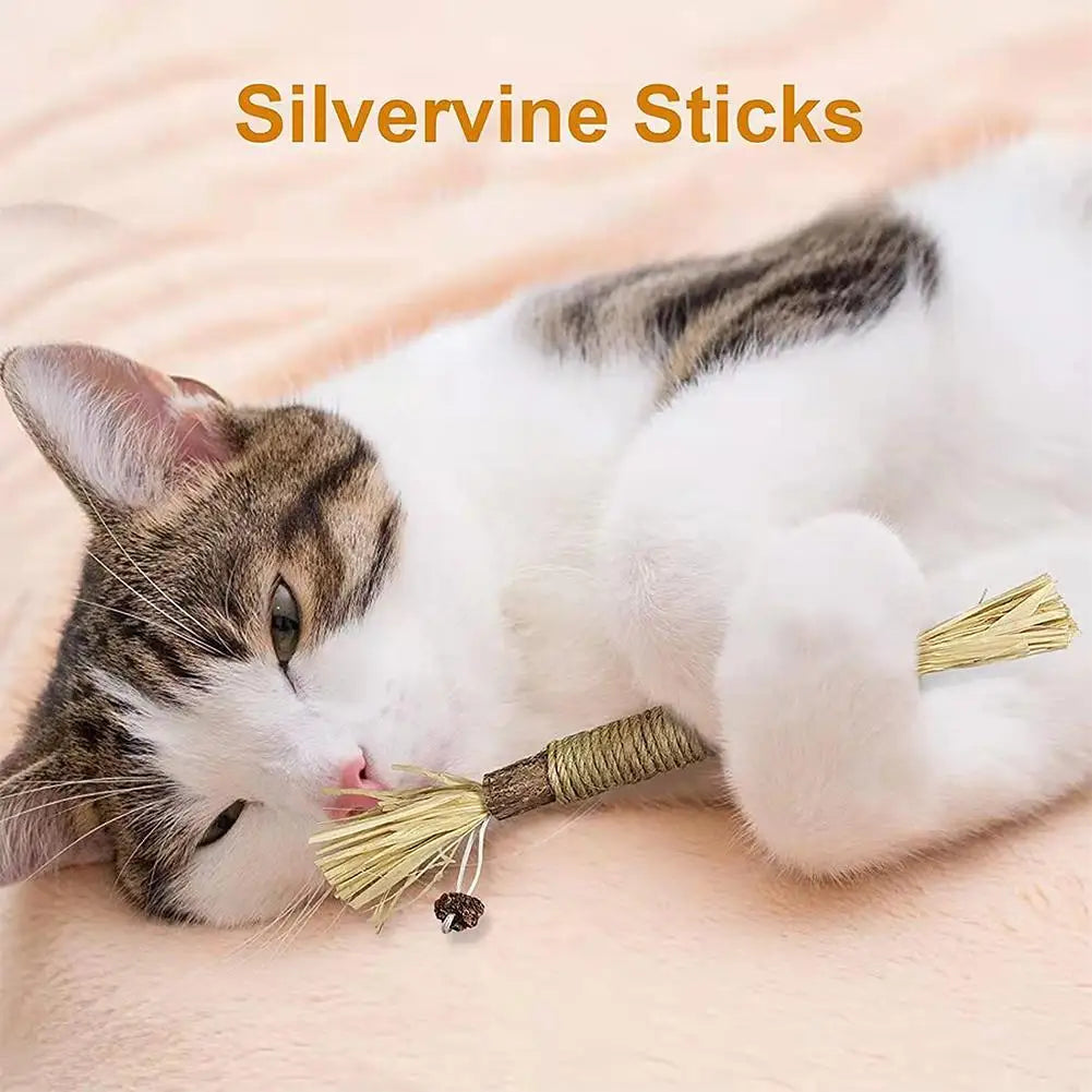Silvervine Chew Sticks for Cats Chew Toys for Kittens Teeth Cleaning Calm Cat Anxiety Aggressive Chewers Cat Dental Toy 1/5/10
